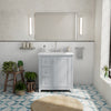 Vanuria 30 in. Vanity