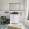 Vanuria 30 in. Vanity