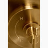 Castia™ by Studio McGee Rite-Temp® shower trim kit, 2.5 gpm