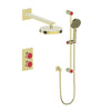 Mond 2-Way Th Shower Kit-M1.220 - Golzar Home