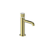 Mond Single Hole Lavatory Faucet With Pop-Up Drain-Bf.Md.1001.Bg - Golzar Home