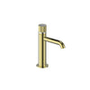 Mond Single Hole Lavatory Faucet With Pop-Up Drain-Bf.Md.1001.Bg - Golzar Home