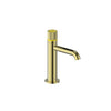 Mond Single Hole Lavatory Faucet With Pop-Up Drain-Bf.Md.1001.Bg - Golzar Home