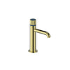 Mond Single Hole Lavatory Faucet With Pop-Up Drain-Bf.Md.1001.Bg - Golzar Home