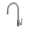 Perrin & Rowe Armstrong™ Pull-Down Kitchen Faucet With C-Spout