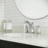 Arterra 2-Handle 8" Widespread Bathroom Faucet 2-Handle 8" Widespread Bathroom Faucet
