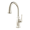 Briarsfield 1-Handle Pull-Down Kitchen Faucet 1-Handle Pull-Down Kitchen Faucet