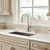 Briarsfield 1-Handle Pull-Down Kitchen Faucet 1-Handle Pull-Down Kitchen Faucet