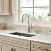Briarsfield 1-Handle Pull-Down Kitchen Faucet 1-Handle Pull-Down Kitchen Faucet