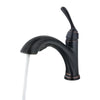 Cantara 1-Handle Pull-Out Kitchen Faucet 1-Handle Pull-Out Kitchen Faucet