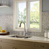 Pasadena 1-Handle Pull-Down Kitchen Faucet 1-Handle Pull-Down Kitchen Faucet