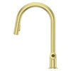 Tenet 1-Handle Pull-Down Kitchen Faucet 1-Handle Pull-Down Kitchen Faucet