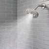 ThermoForce Multifunction Showerhead Multifunction Showerhead