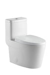 Neptune Zen 4.1/6L Dual Flush Elongated One-Piece Toilet in White