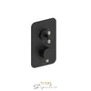 T-Box Pressure balanced 2 functions with diverter