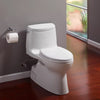 Toto Carlyle Ii One-Piece Toilet - Universal Height - Golzar Home