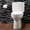 Toto Drake® II Two-Piece Toilet 1.28 GPF - Elongated front bowl - Golzar Home