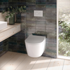 Toto Rp Compact Wall Hung Toilet & In-Wall Tank System 1.28/0.9 Gpf
