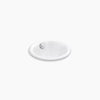 Iron Plains® 12" round drop-in/undermount/vessel bathroom sink