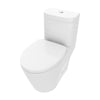 Neptune Zen 4.1/6L Dual Flush Elongated One-Piece Toilet in White