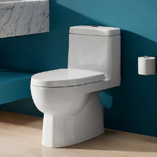 Kohler One-Piece Toilet