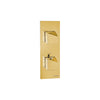 Carimali Dside 1 Sharing | Thermostatic 2-Way Shower Trim