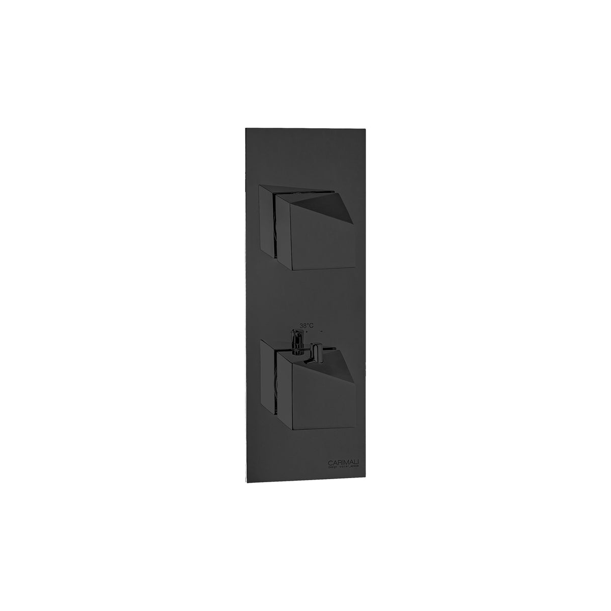 Carimali Dside 1 Sharing | Thermostatic 2-Way Shower Trim