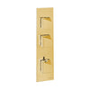 Carimali Dside 1 2-Shut-Off Thermostatic Shower Trim