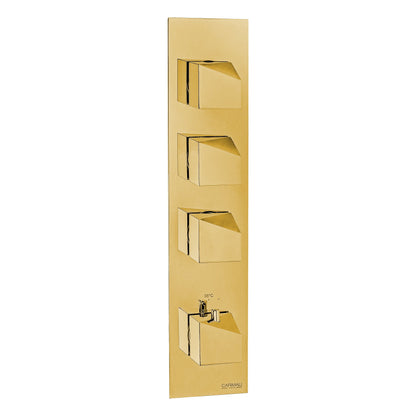 Carimali Dside 1 3-Shut-Off DSD4202EST Thermostatic Shower Trim