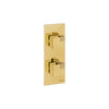 Carimali Ocube 1 Sharing | Thermostatic 2-Way Shower Trim