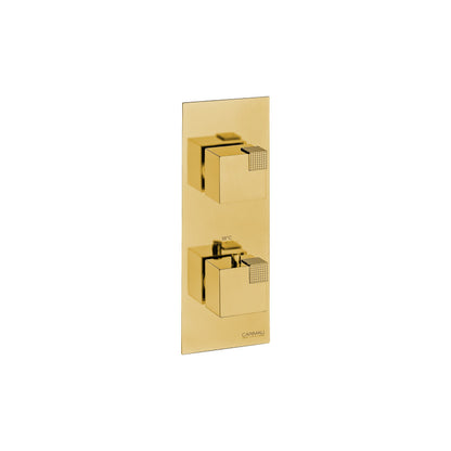 Carimali Ocube 1 Sharing | Thermostatic 2-Way Shower Trim