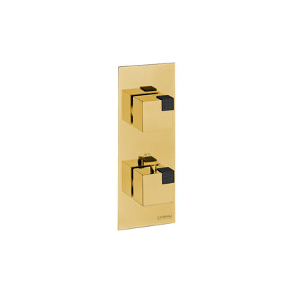 Carimali Ocube 1 Sharing | Thermostatic 2-Way Shower Trim