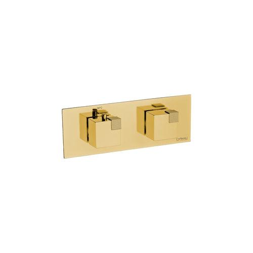 Carimali Ocube Horizontal Valve Sharing | Thermostatic 2-Way Shower Trim