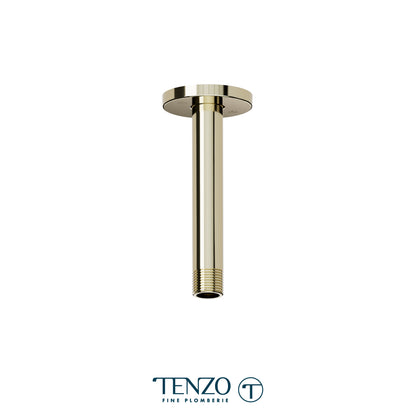 Ceiling shower arm