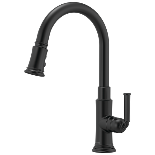 Brizo Pull Down Faucet
