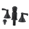 Rubinet Bidet Fitting with Spray, Diverter, and Vacum Breaker (Less Drain) Black