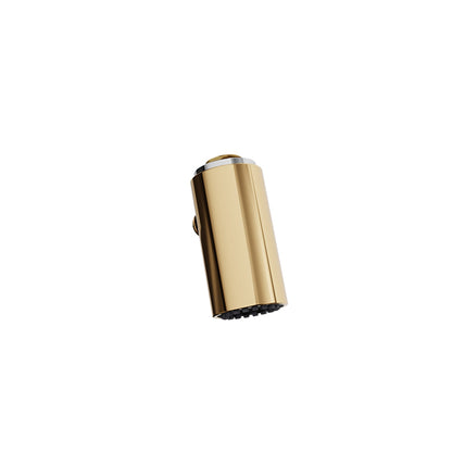 Baril Brass 2-spray hand shower