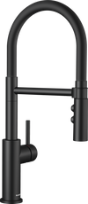 Blanco CATRIS FLEXO Kitchen Faucet