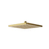 Aqua Brass 10” Square Rainhead