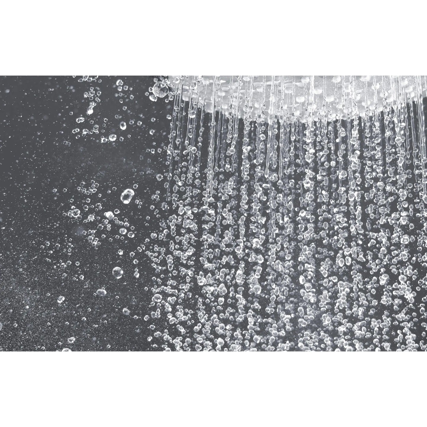 Grohe 160 Shower Head, 6-1/4" - 1 Spray, 9.5 L/min (2.5 gpm)