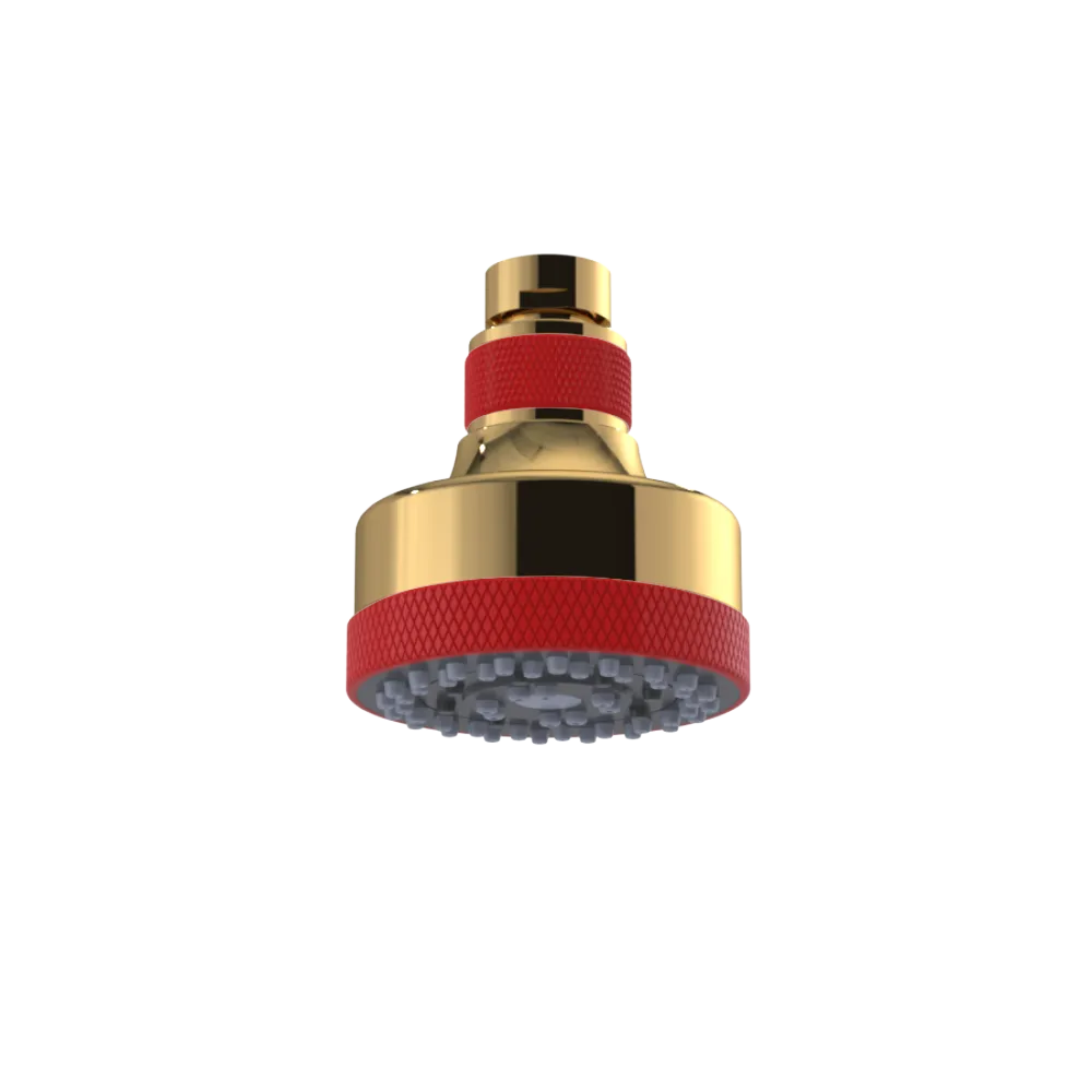 Rubinet 3 FUNCTION SHOWER HEAD Gold