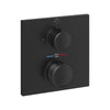 Grohe Allure New Single Function 2-Handle Thermostatic Valve Trim - Golzar Home