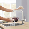 Minta Single-Handle Pull-Out Kitchen Faucet Dual Spray 6.6 L/Min - Golzar Home