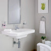 Concetto™ Single Hole Single-Handle Xs-Size Bathroom Faucet 1.2 Gpm - Golzar Home