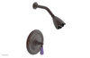 JAMESTOWN - Pressure Balance Shower Set - Lever Handle with "Purple" Accents 165-22