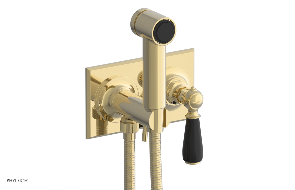 JAMESTOWN - Wall Mounted Bidet - Lever Handle with "Black" Accents 165-65