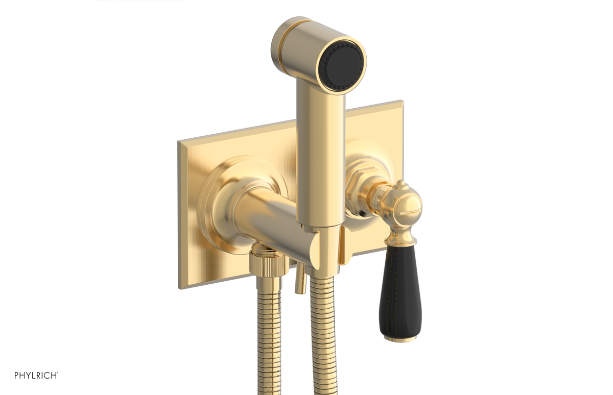 JAMESTOWN - Wall Mounted Bidet - Lever Handle with "Black" Accents 165-65