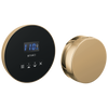 Brizo Round Steam Set