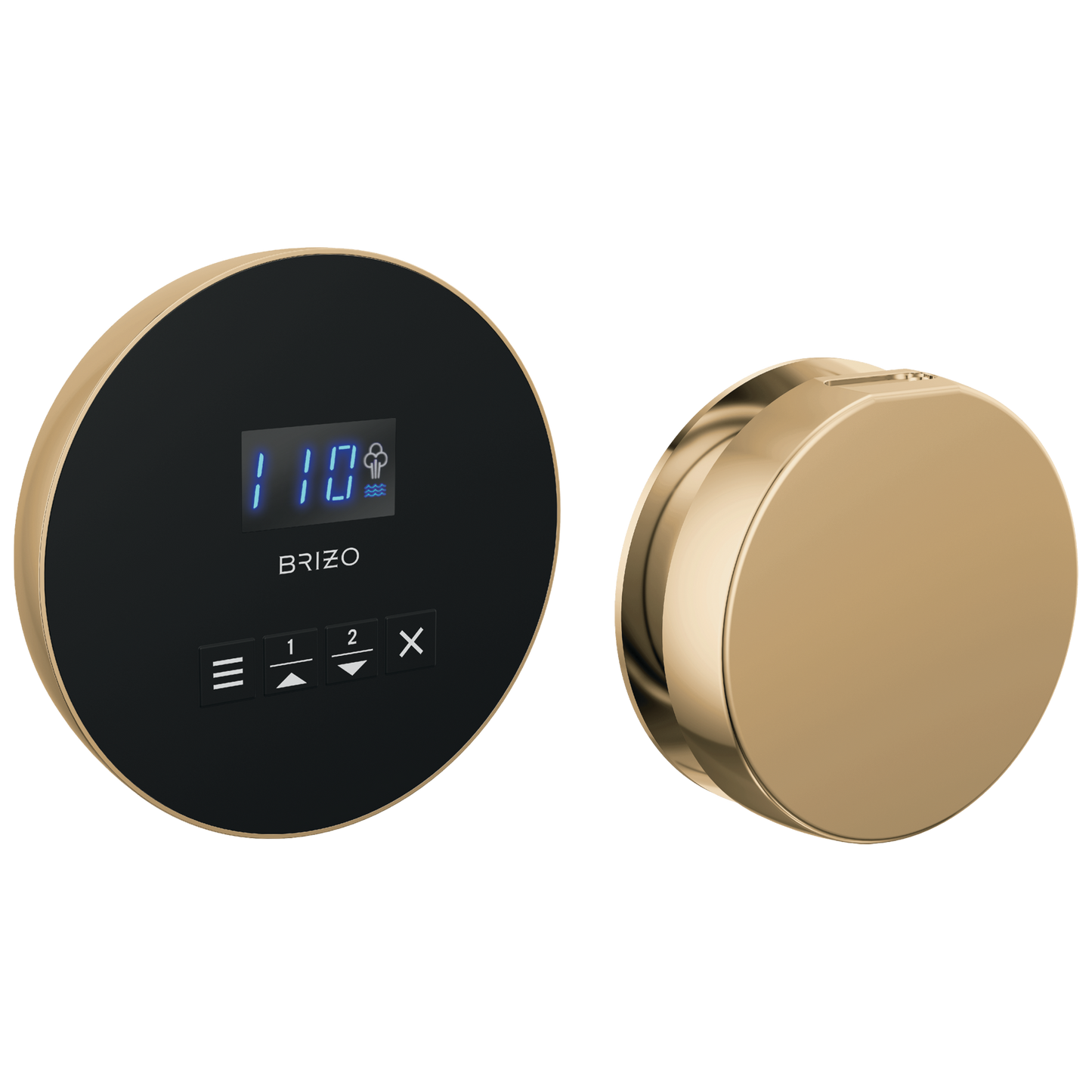 Brizo Round Steam Set