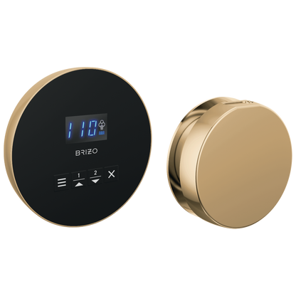 Brizo Round Steam Set